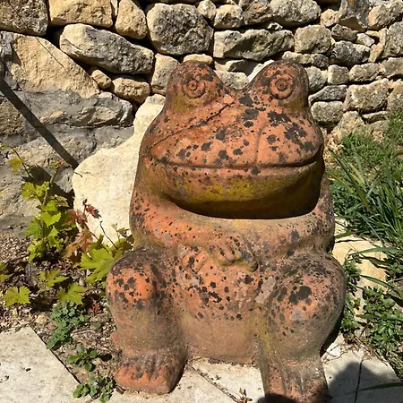 Le Clos De L'ane Dentelle Vézac
