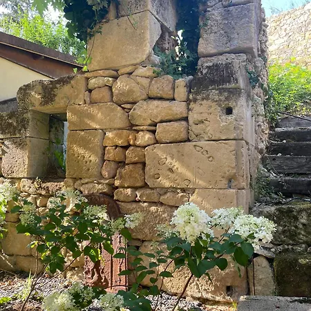Le Clos De L'ane Dentelle