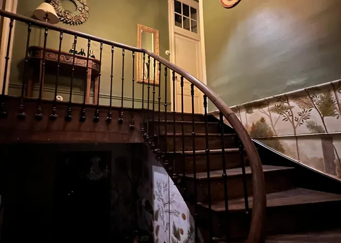 Le Clos De L'ane Dentelle