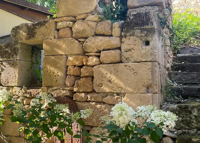 Le Clos De L'ane Dentelle